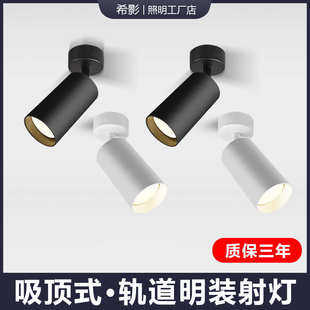 射灯可调角度家用小吸顶式 明装 轨道灯散光商用聚光LED天花灯筒灯