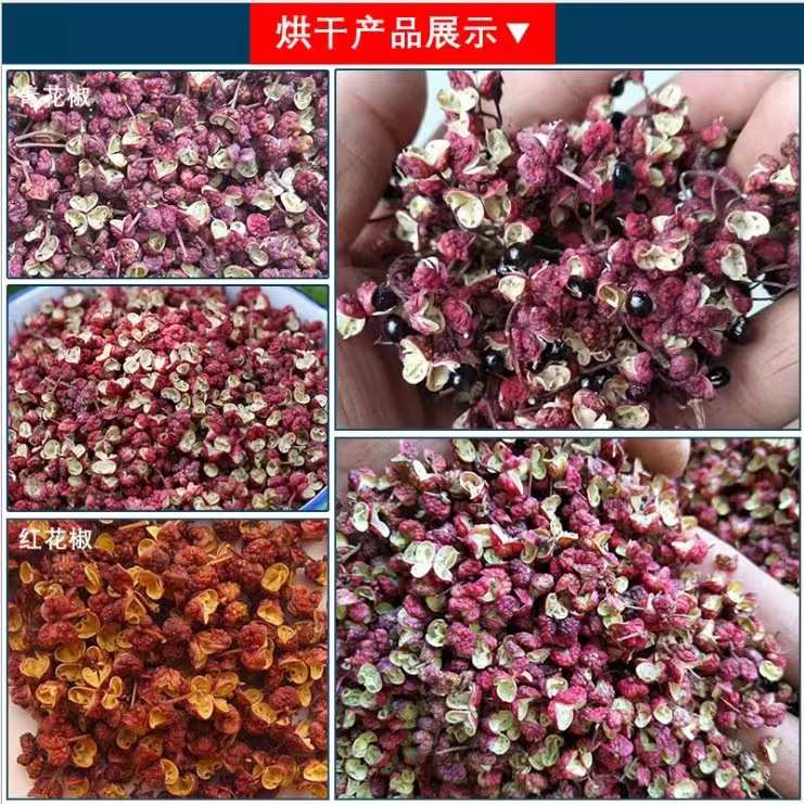 小型烘干机花椒辣椒烘干机果蔬专用大功率加热工业大型箱式烘干机