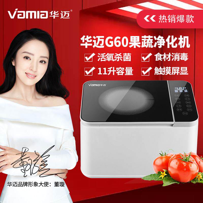 果蔬消毒清洗机净化机去农残全自动洗菜机器家用羟基水离子洗水果