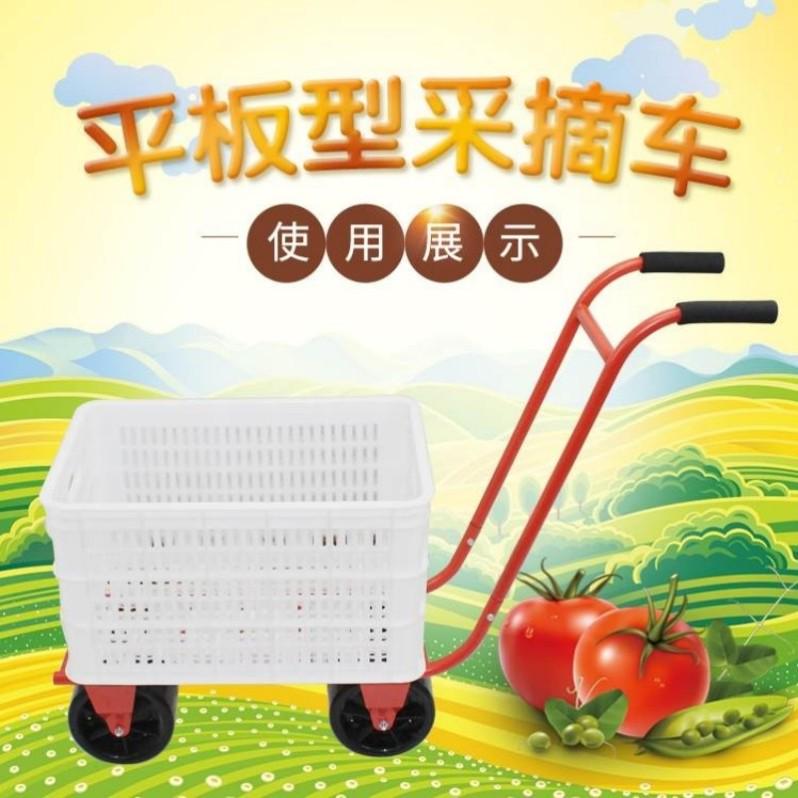 蔬菜瓜果运输采摘工具车西红柿采摘大棚运输车采摘手推工具车