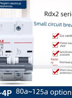 Rdx2Le漏电断路器漏电保护带漏电保护空气开关1P100A125A80A人民