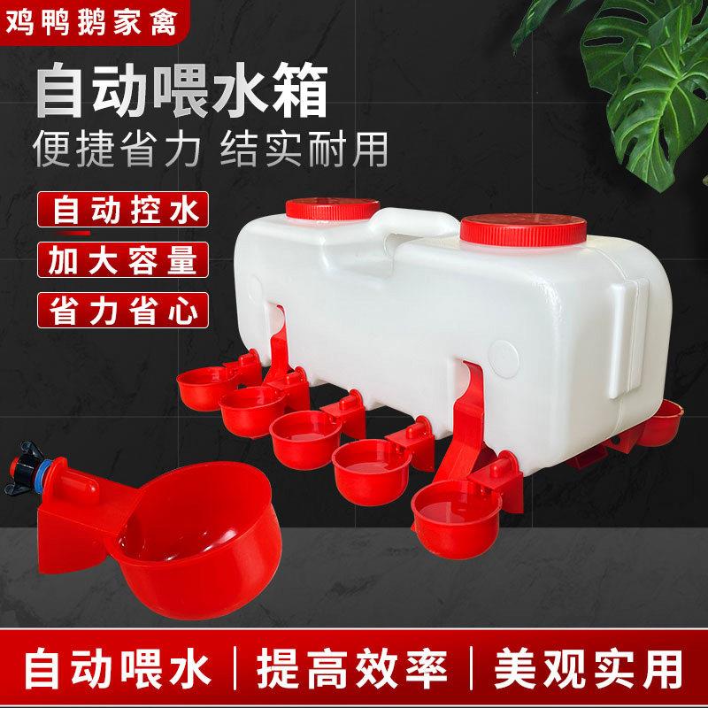 养殖鸡用水槽鸡水桶鸭子饮水器鹅用自动水壶大小鸡水碗鸡用饮水器