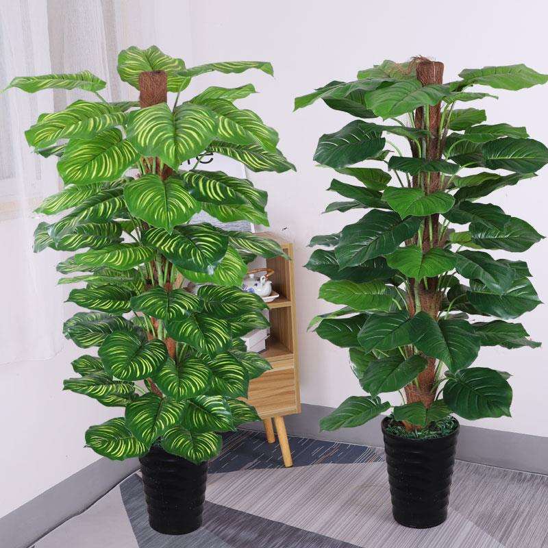 假树绿客厅内落室地大型植物盆景植大摆件叶绿F766JS7H萝假花