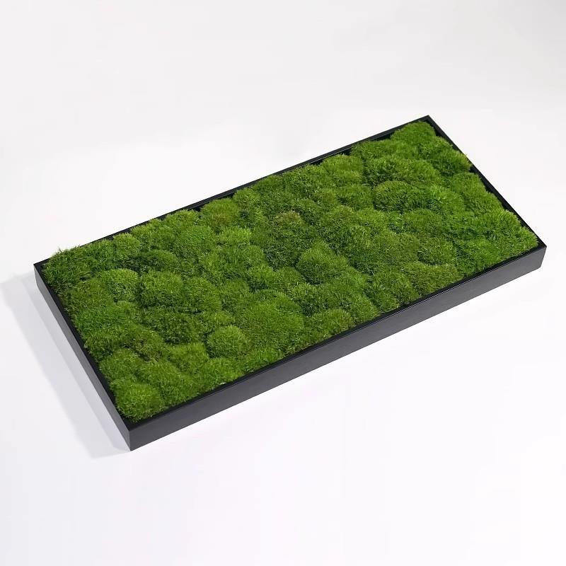 中式永生植物青苔长方形花器书房茶室禅意微景观创意盆栽桌面摆件