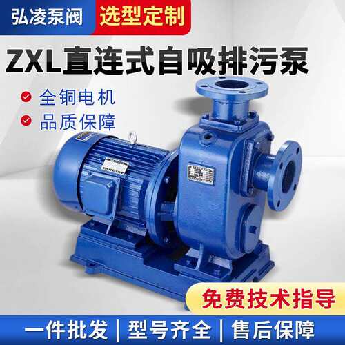 ZXL直连式自吸泵 自吸清水泵 优质耐腐蚀自吸泵