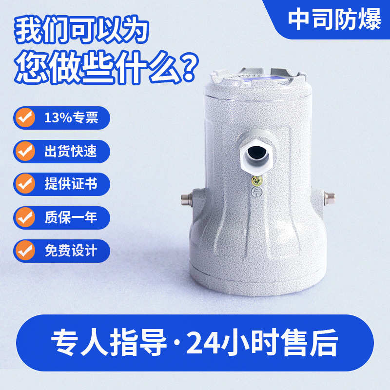 防爆视孔灯LED防爆反应釜灯照明灯BSD视镜灯5W10W延时探照灯24V22