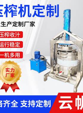 网红食品干噎酸奶压榨机奶酪奶清分离机plc控制压榨收汁机云帆