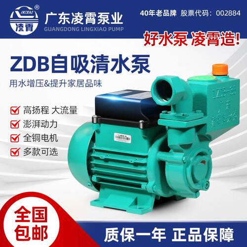 凌霄水泵1DZB-35/45/65抽水机自来水井水抽水220V自吸清水增压泵