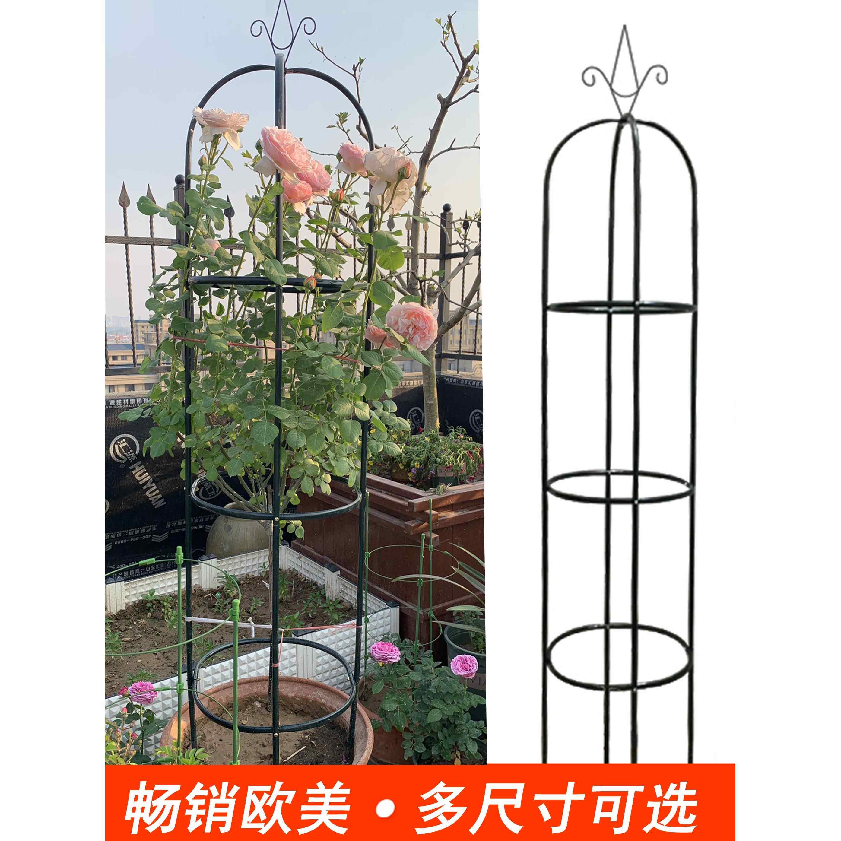 铁艺圆柱形花架月季爬藤架铁线莲植物攀爬花支架阳台室内盆栽庭院