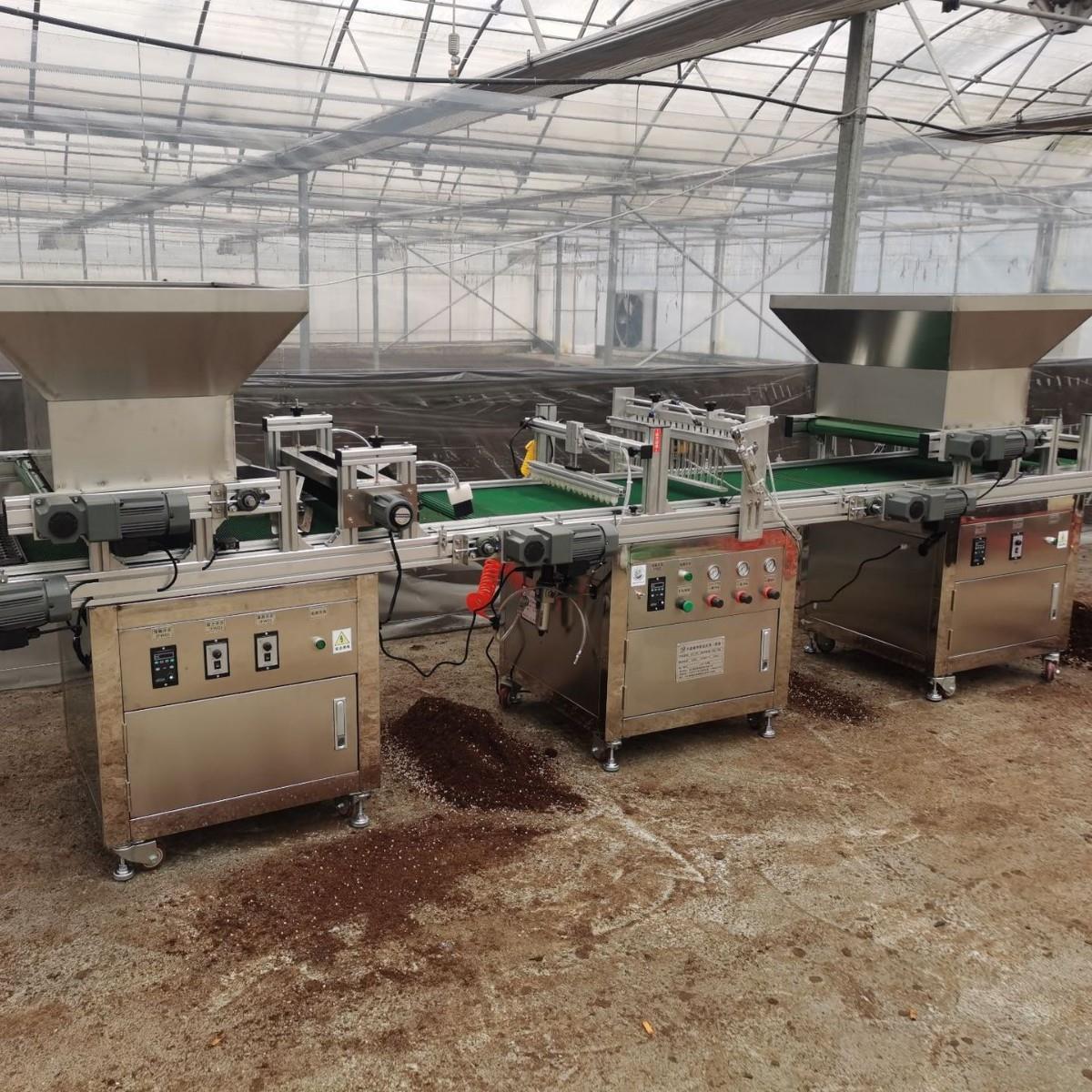 全自动穴盘育苗播种机针吸式穴盘压穴一体机台式蔬菜种子播种机