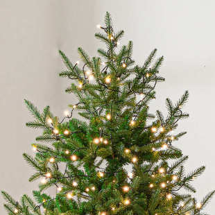 新款圣诞节豪华圣诞树加密2.1米场景装饰大型仿真松树圣诞树