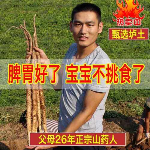 新疆包邮铁棍山药新鲜河南焦作温县怀山淮山药铁棒垆土铁杆淮山5