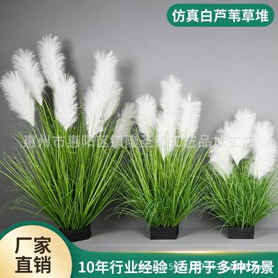 仿真芦苇草堆蒲苇草仿真绿植盆栽白色芦苇草室内造景装饰摆设道具