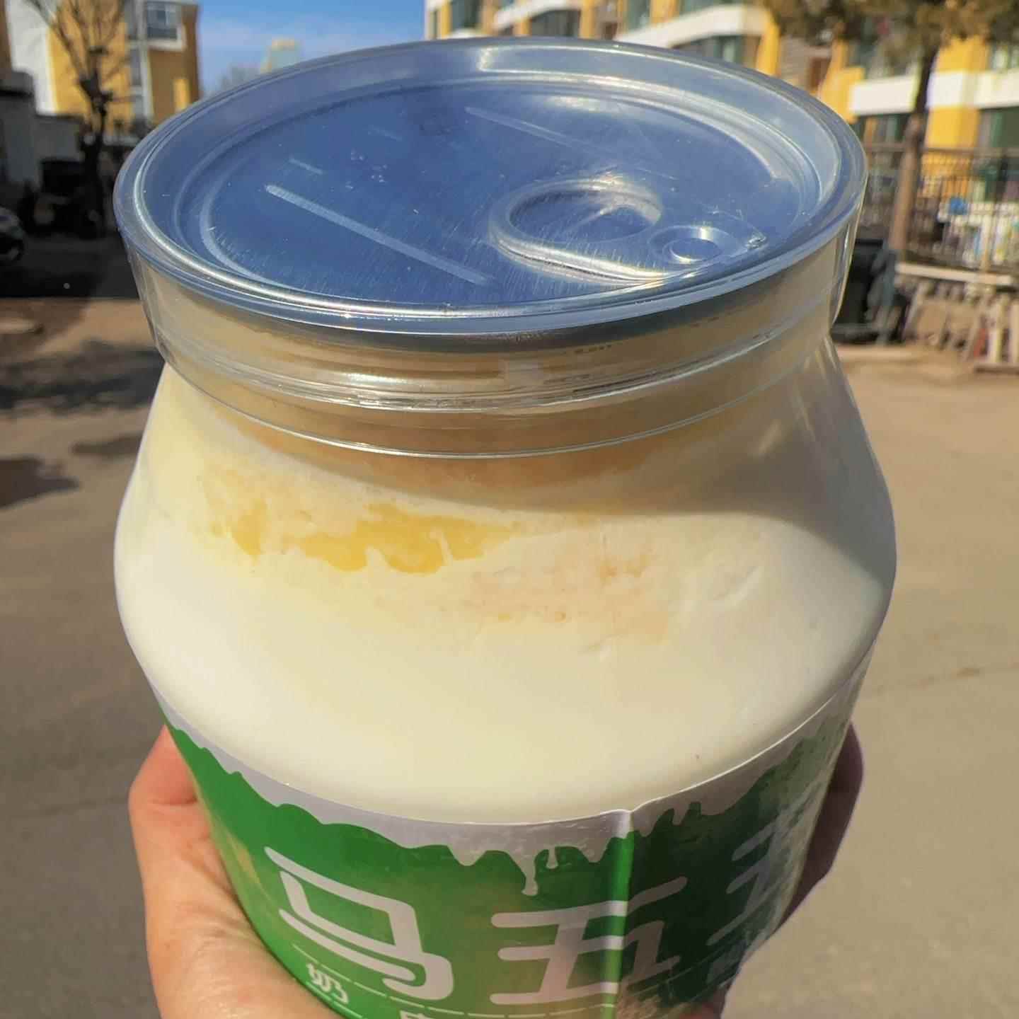 马五五奶皮子酸奶内蒙经典老酸奶绿色蓝色大罐酸奶酸奶碗顺丰包邮
