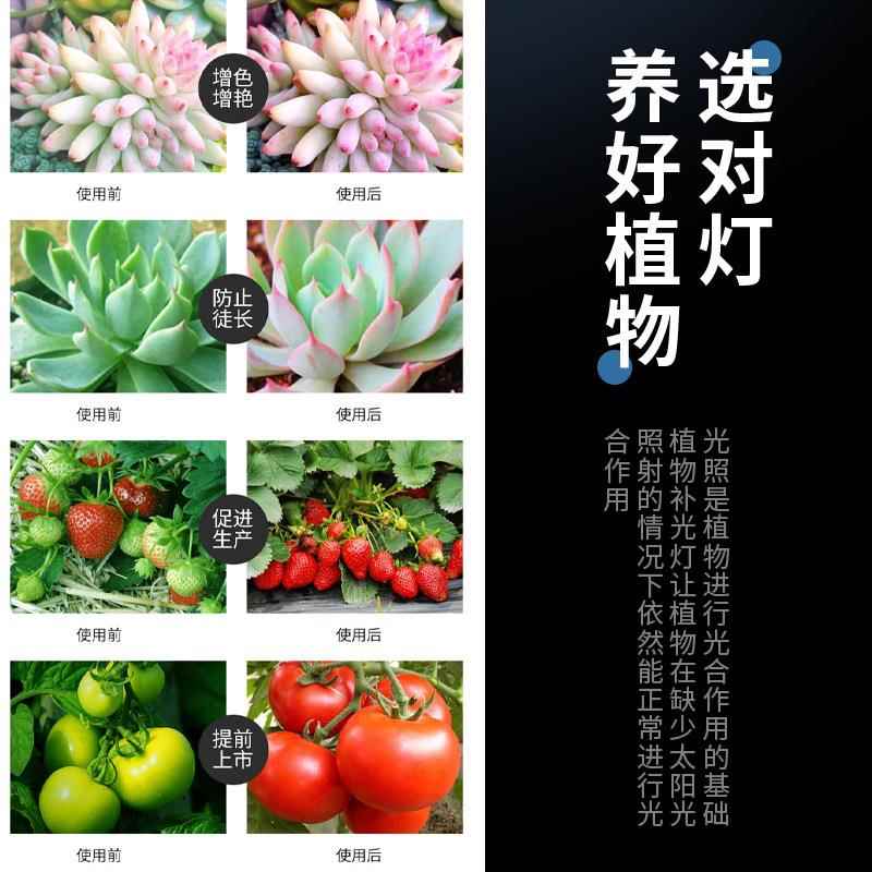阳台太阳光植补物光花灯阳全光谱室内兰MFT卉月季绿生长灯台植物