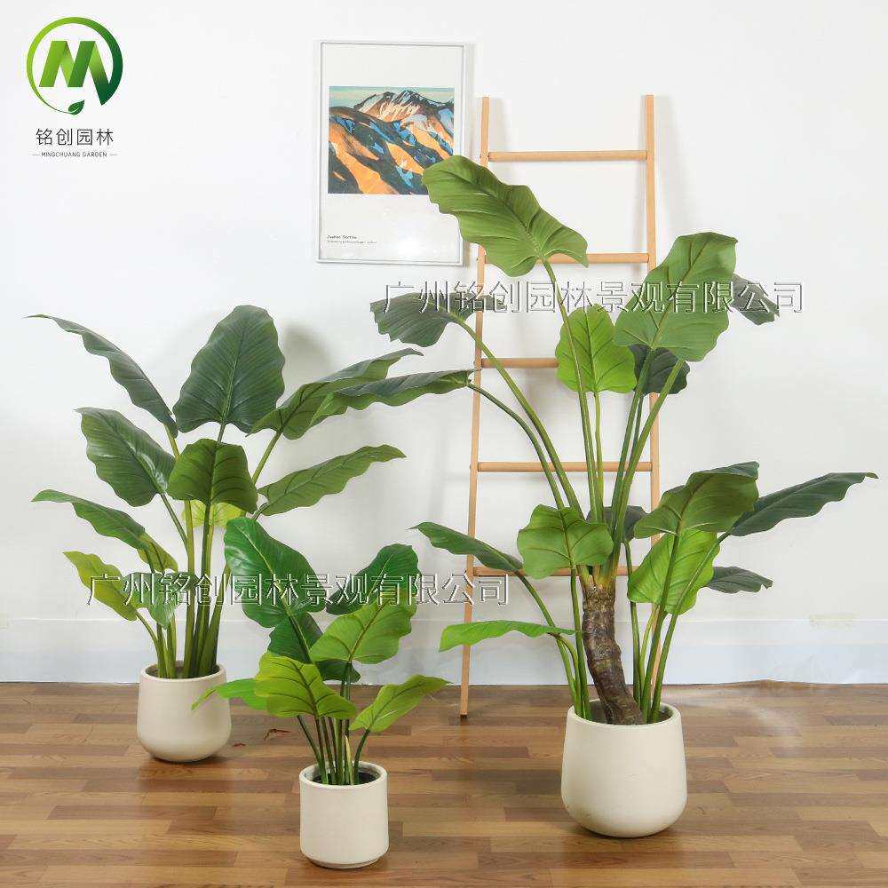 仿真绿植假树室内家居装饰植物 商业美陈植物摆件大型绿帝王盆栽