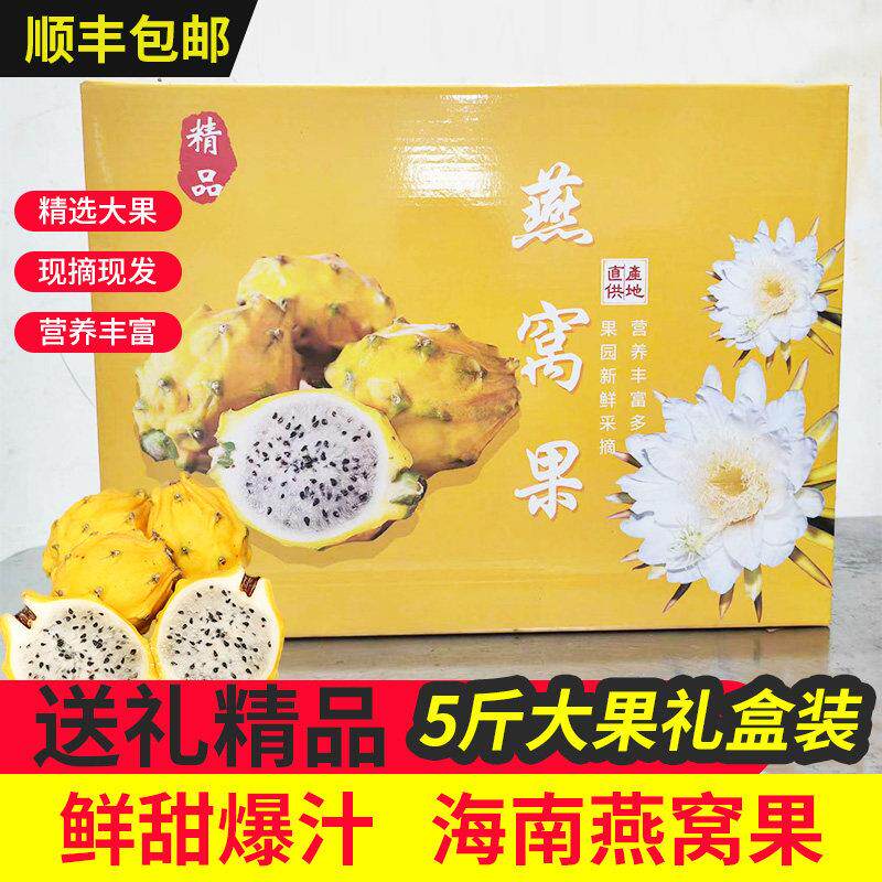 《送礼精品》海南燕窝果5斤大果礼盒装新鲜白心火龙果顺丰包邮