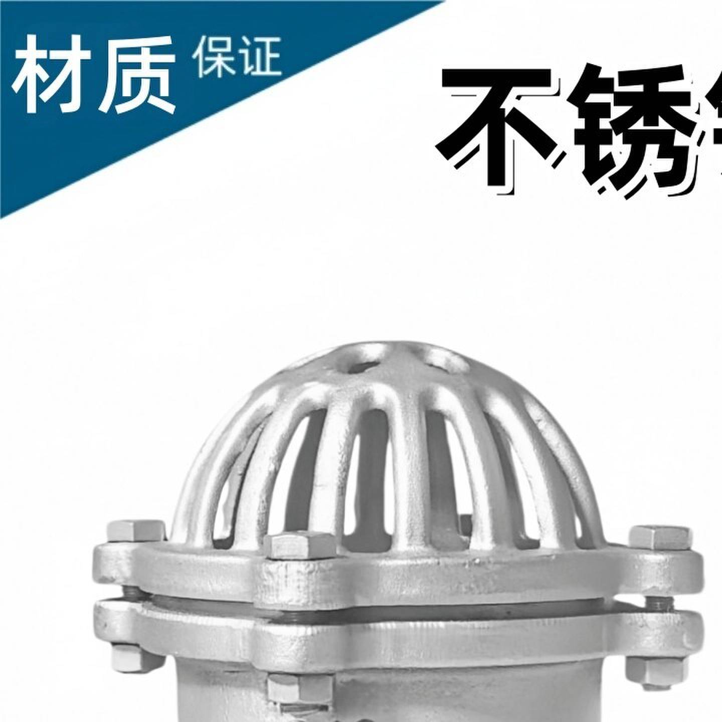 304不锈钢底阀止回阀H42W-16P丝扣法兰升降式抽水泵底阀丝口DN65图片