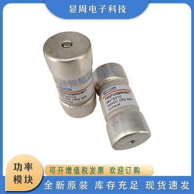 保险丝熔断器FR10GR69V16 V20 V25 D1014579 E1014580 F1014581