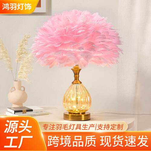 跨境爆款ins风羽毛灯高级感少女LED卧室床头灯时尚创意护眼台灯