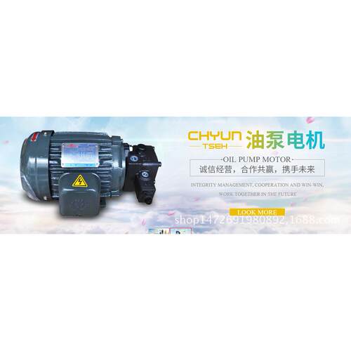 SY内轴电机 马达 C7B-43BO 7.5HP 5.6KW C7B-43B0