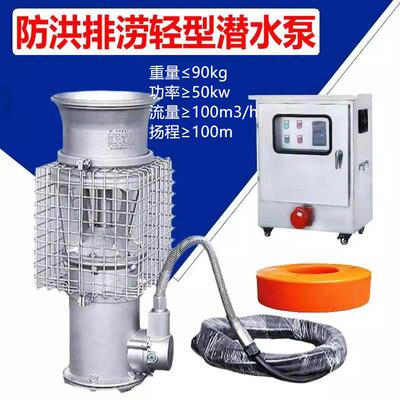 XAG30V水排涝鱼塘养殖场大流量抽泵8便携式用永磁变频潜水泵