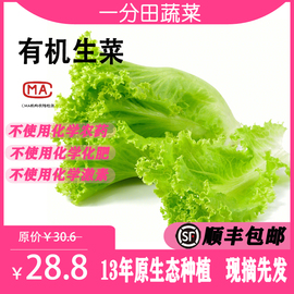 一分田有机新鲜生菜，新鲜蔬菜生态，种植蔬菜速运500g