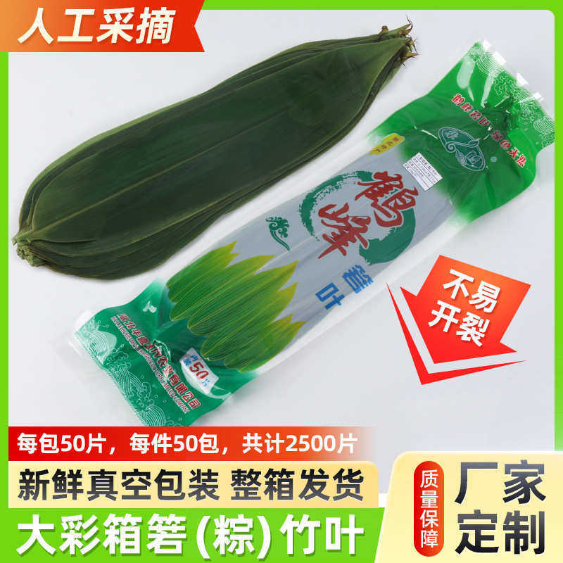 大彩箱箬(粽)竹叶批发 新鲜真空包装粽子叶 50枚餐厅摆盘装饰粽叶