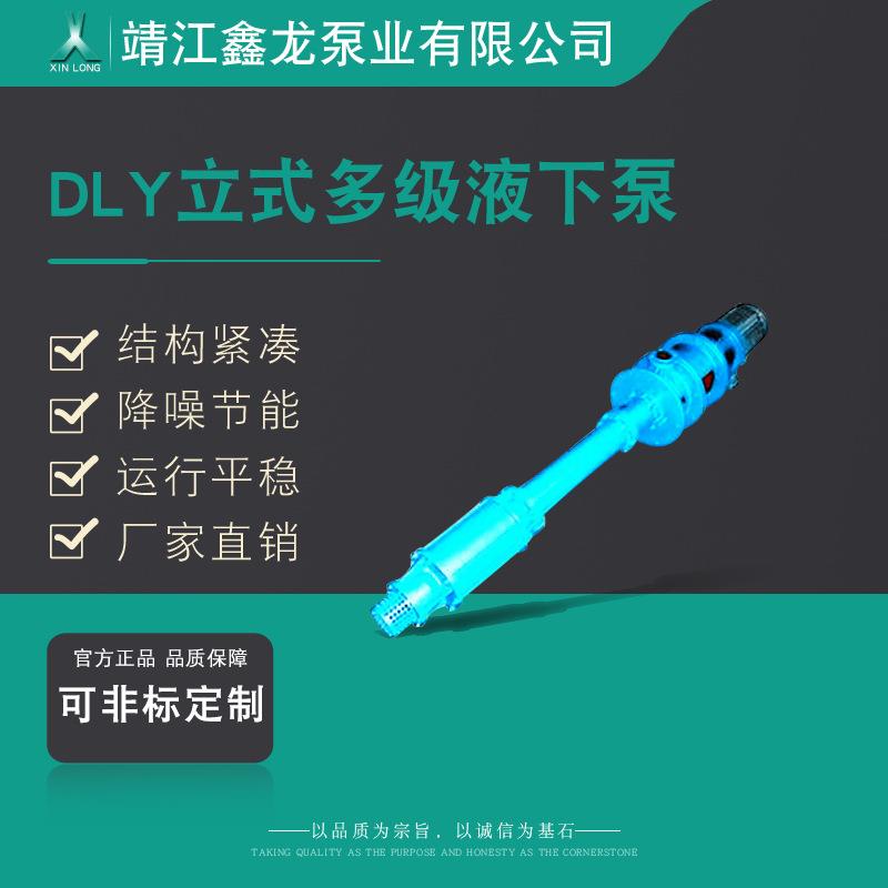 鑫龙DLY立式单吸多级液下泵分段式离心泵厂家可定制