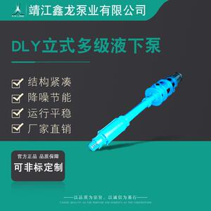 鑫龙DLY立式单吸多级液下泵分段式离心泵厂家可定制