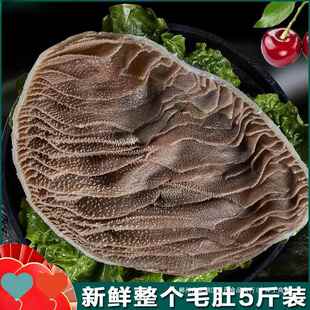 毛肚新鲜整个包邮商用牛百叶黑千层肚大叶片牛肚重庆火锅食材