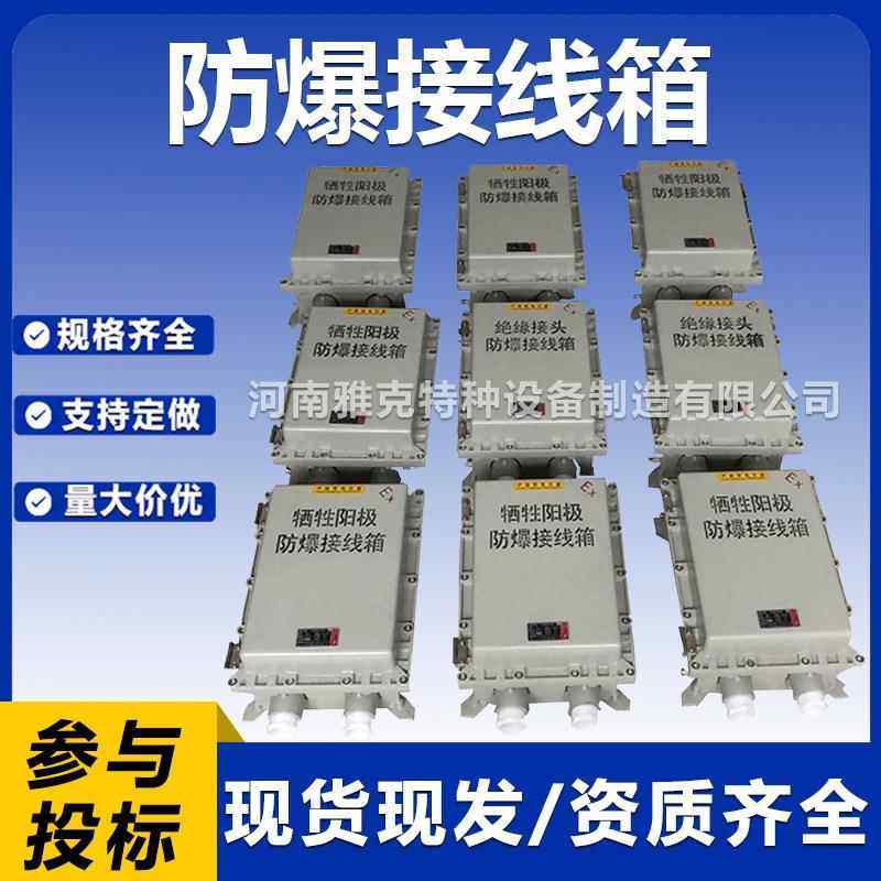 304不锈钢防爆箱EXdIICT6防爆接线箱 等电位连接器防爆箱 测试桩
