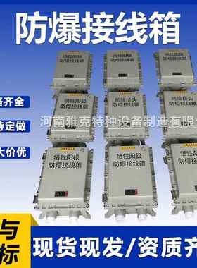 304不锈钢防爆箱EXdIICT6防爆接线箱 等电位连接器防爆箱 测试桩