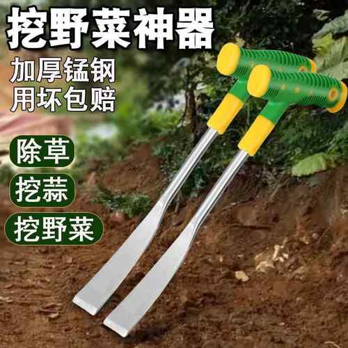 农用园艺小钢铲挖野菜拔菜用不锈钢挖蒜挖荠菜挖婆婆丁园艺铲子