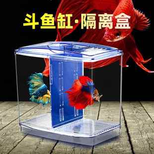 斗鱼盒小型斗鱼缸迷你克力隔离双盒斗鱼盒桌面观赏鱼饲养繁殖孵化