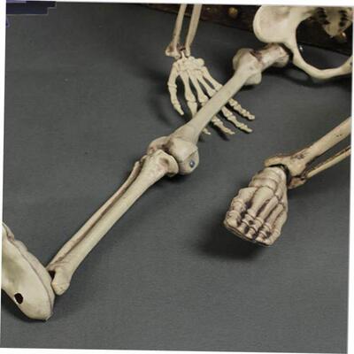 Halloween artificial plastic skeleton props display骷髅架01