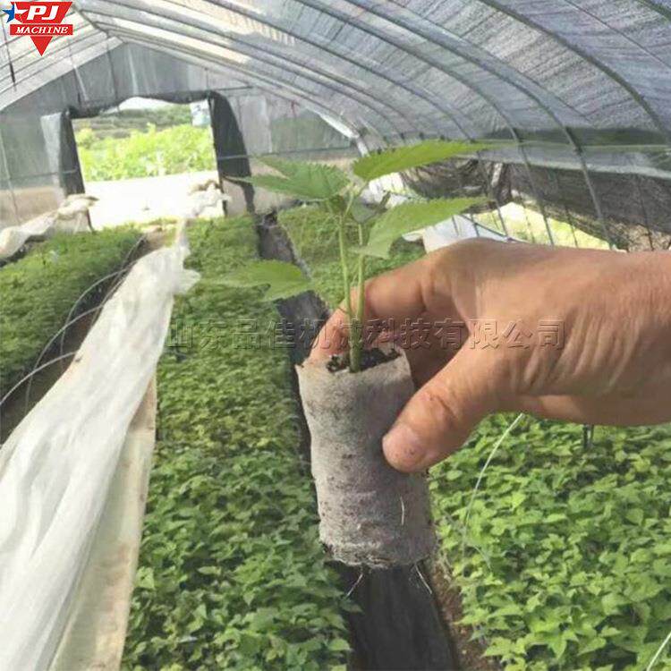 花卉制钵装土设备 育苗营养土装土设备 大棚种植农业无纺布营养袋