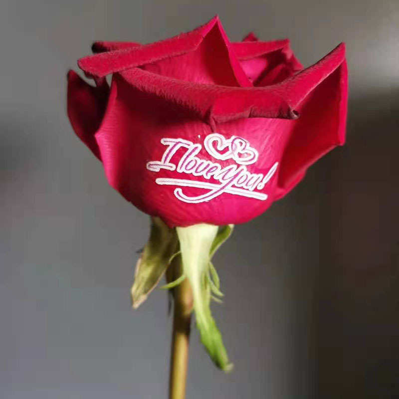 厂家直供 A3透明 喷墨水转印 印花纸 水转印纸 水贴纸 照片纸