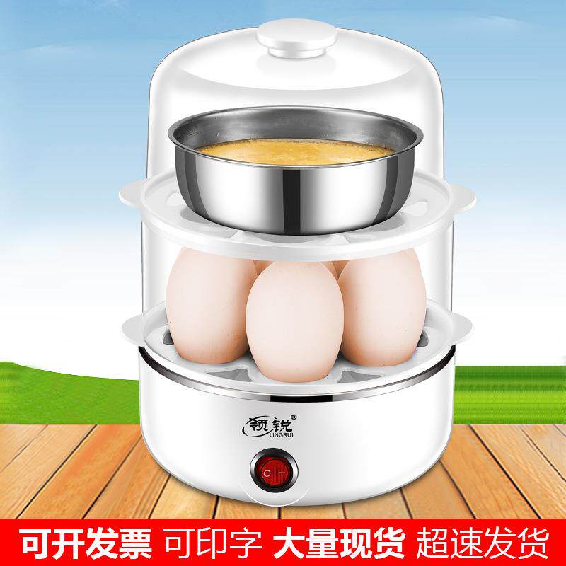 领锐 不锈钢双层煮蛋器自动断电迷你蒸蛋器家用小型蒸鸡蛋早餐机
