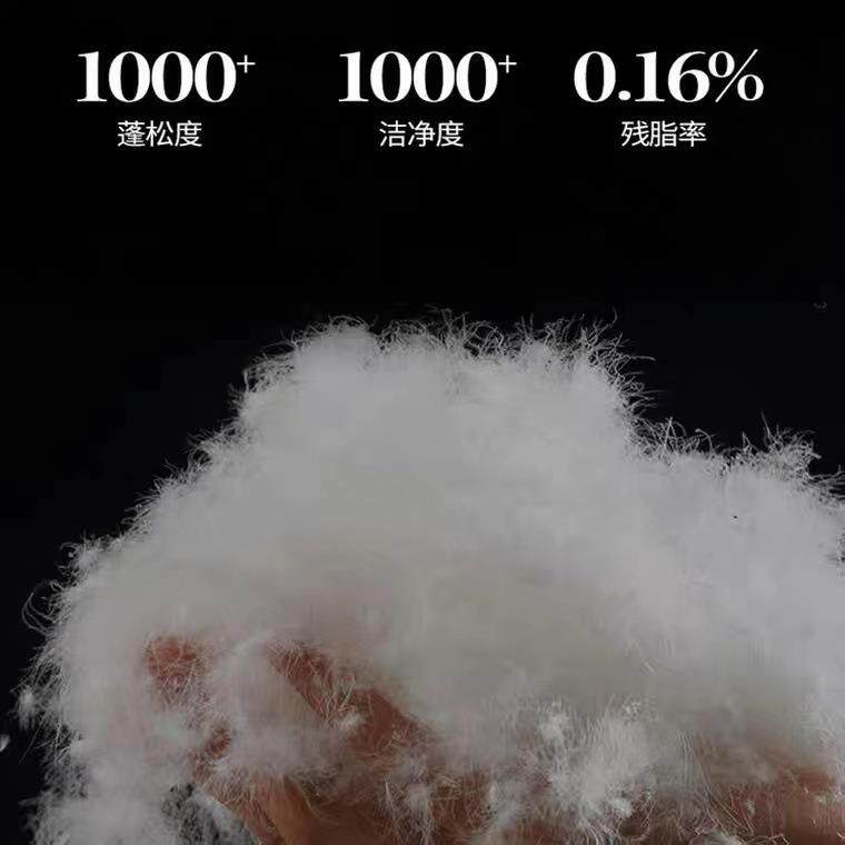 纯棉羽全棉羽绒绒被秋冬季双保暖白鸭绒扭被子酒店宾馆被芯花加厚