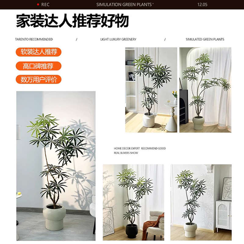 孔雀木绿植仿生盆栽仿真植物客厅落地造景大型轻奢室内装饰假树
