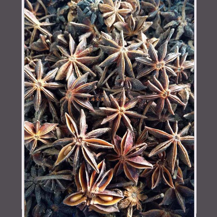 八角植物精油提炼设备