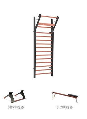 Wat德erRo架wer国进口室内肋木家用握霸引器力引体训练引力训练组