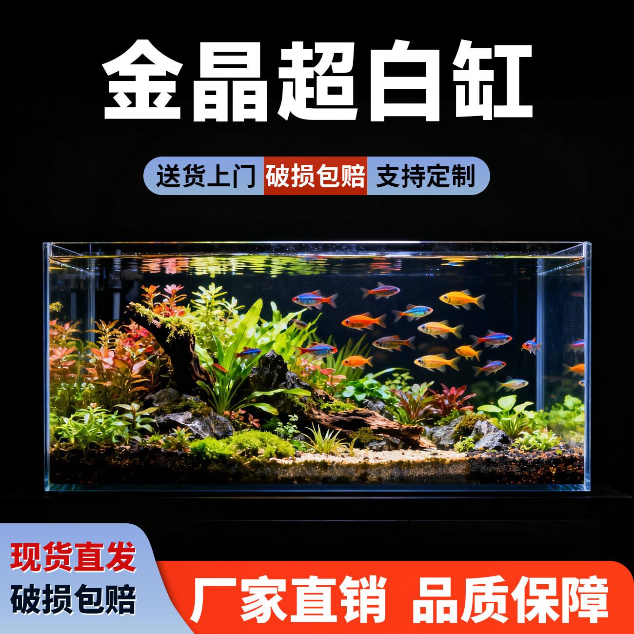 金晶超白玻璃鱼缸客厅造景缸家用大小长方形水草雨林溪流乌龟缸