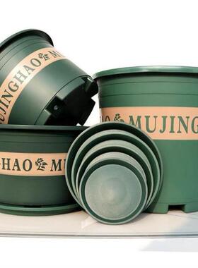 More large flower pot plastic plant trees green plant POTS