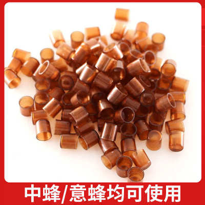 塑料蜜蜂育王杯培育蜂王台条育王台蜜蜂王壳蜂王台基培育育王工具