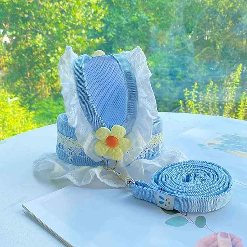 猫咪牵引绳防挣脱外出专用JK裙胸抱婴袋宠物专用遛猫绳子防丢猫绳,宠物/宠物食品及用品,猫牵引绳,淘宝优惠券,粉丝福利购,淘宝优惠卷