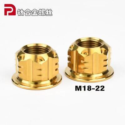 PTENG适用钛合金电机螺母M14/M20/M18M16全10寸12寸电机通用