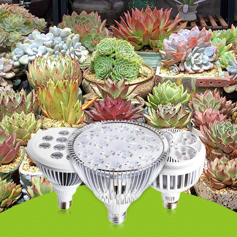 全光谱多肉补光灯LED灯泡防徒上色家用月季花卉彷太阳植物生长灯