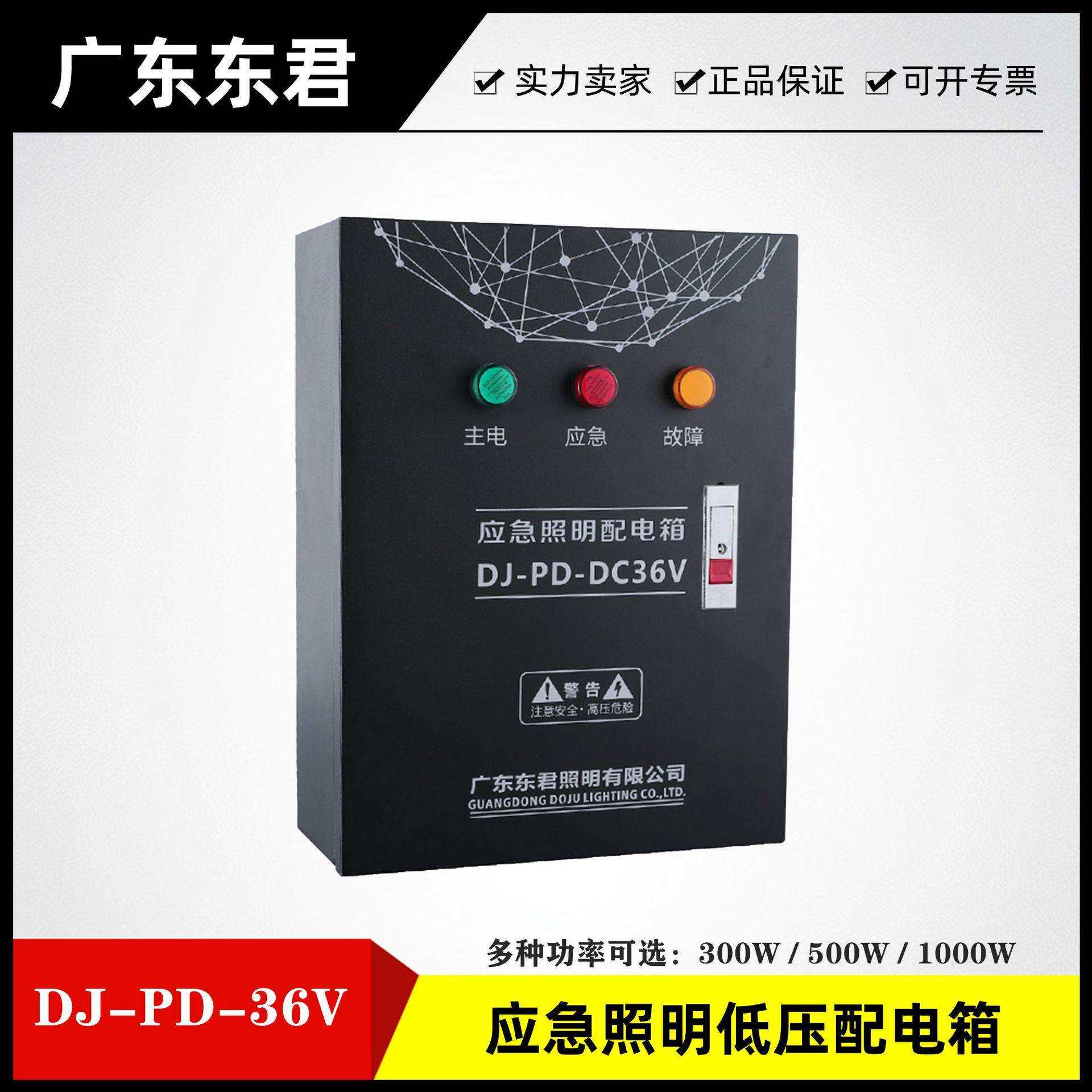 广东东君应急照明低压配电箱 集控 DJ-PD-36V